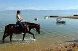 Reiten am Strand, Camping Zaton, Dalmatien, Adria, Kroatien