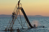 Zaton Holiday Resort Wasserrutsche, Dalmatien, Adria, Kroatien